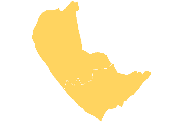Pinswang
