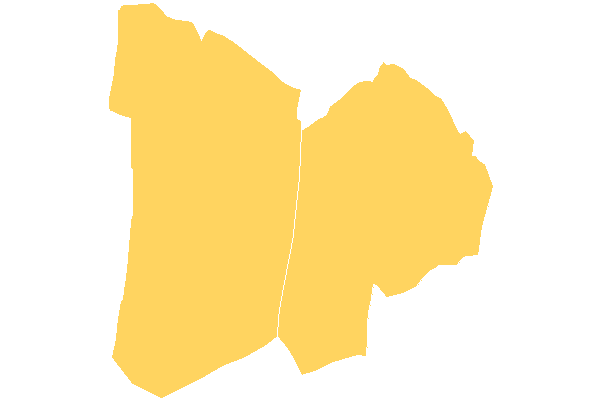 Steinreich