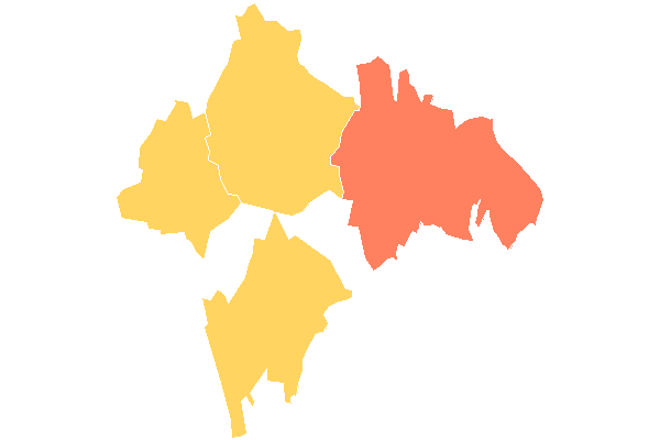 Schwallungen