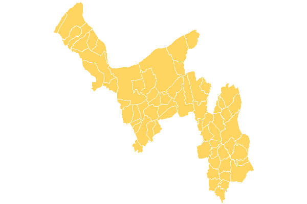 Mainz-Bingen