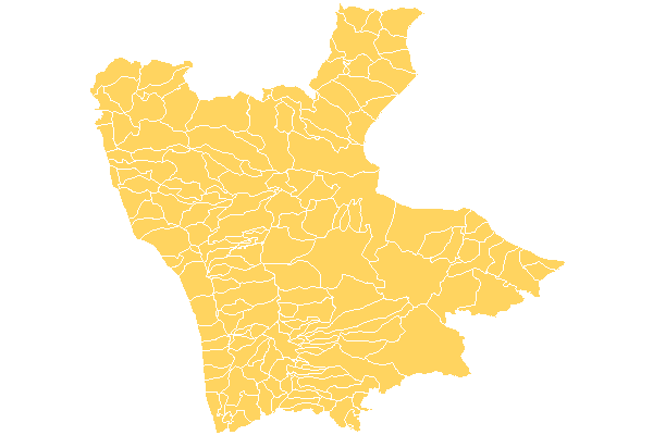 Cosenza