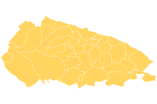 Bari