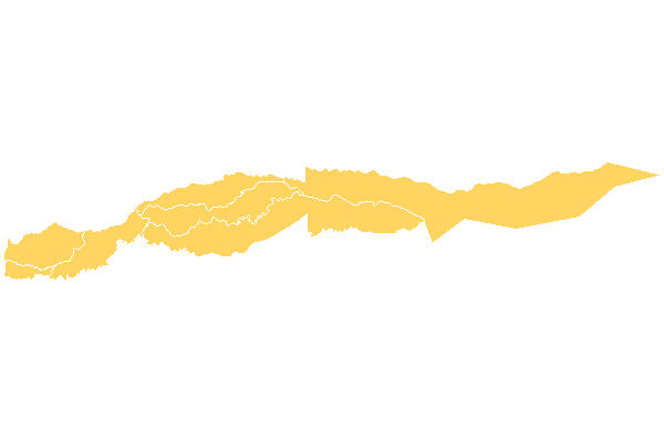 Cantón Goicoechea